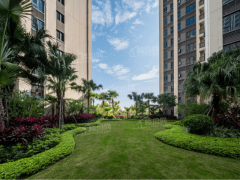 北滘机械人谷的财产人群来说